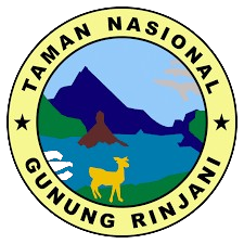 images removebg preview (3)